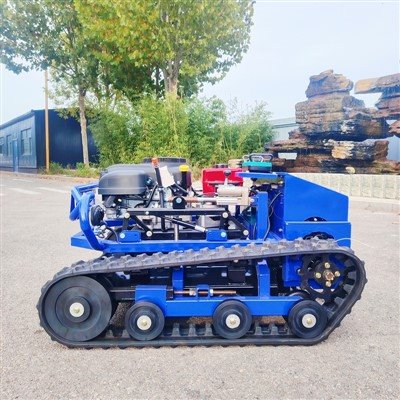 Petite tondeuse à gazon automotrice-